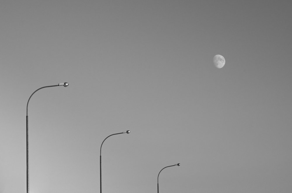 Photograph by Анатолий Мироненко