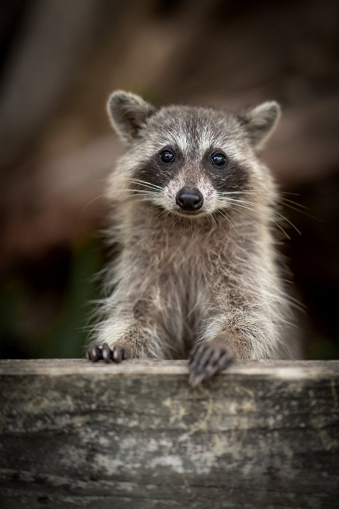 Photograph by Зоя Галимова