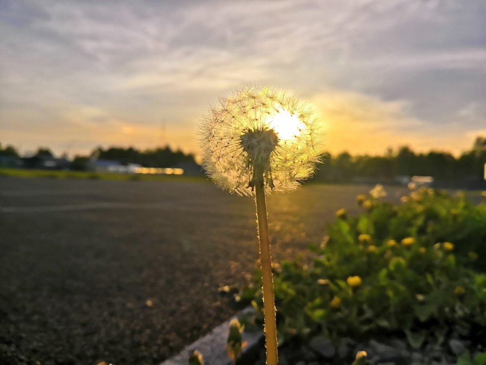 Photograph by Андрей Тюликов