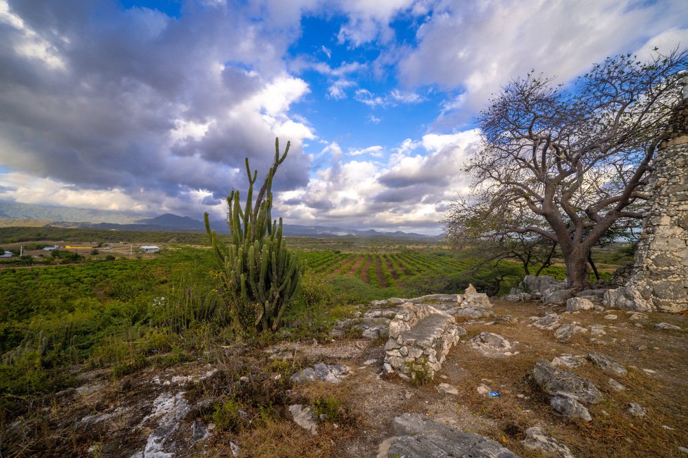 Photograph by Jose Faustino