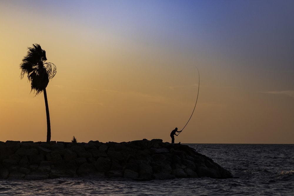 The Old Man and the Sea. And cat.