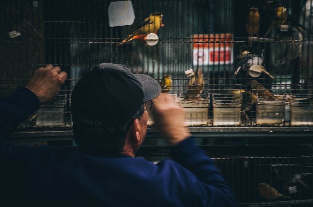 Photograph by José Andrade