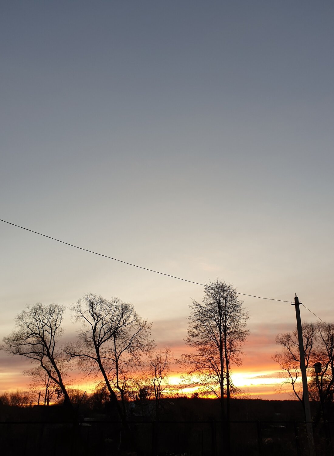 Photo #4372643