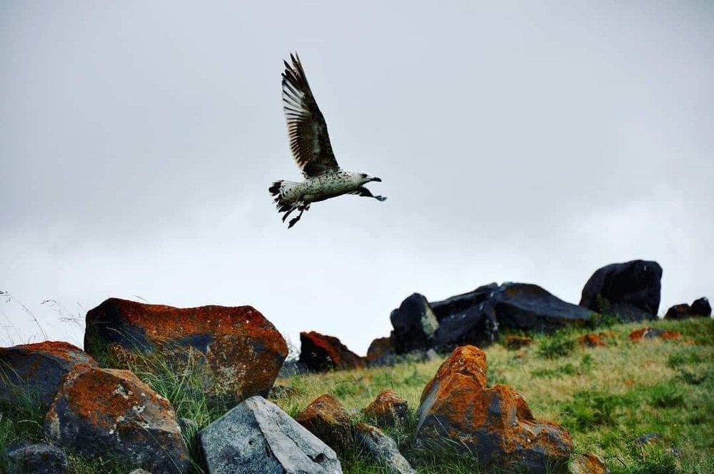 Photograph by Gocha Otanadze