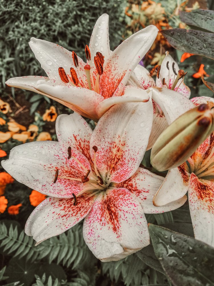 После дождя