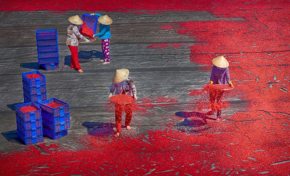 Photograph by LE NGON