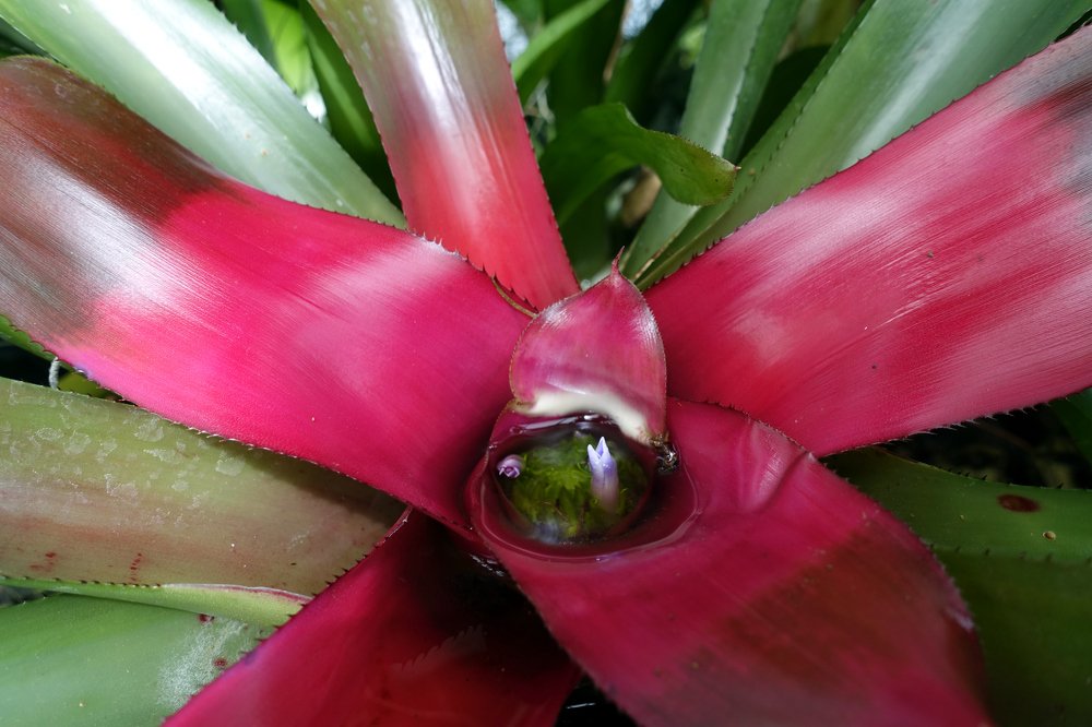 Photograph by Sylvie D.