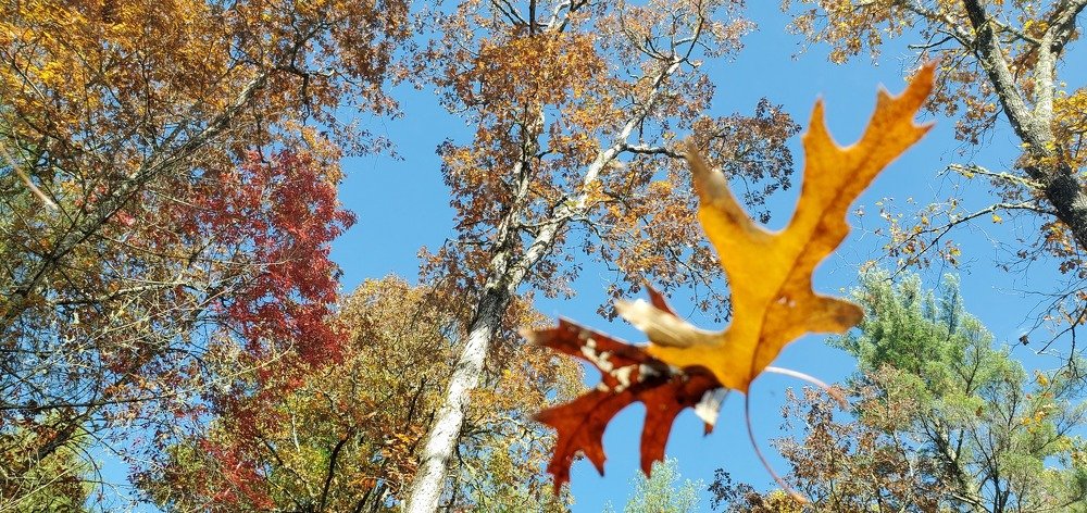 Photograph by Andrés