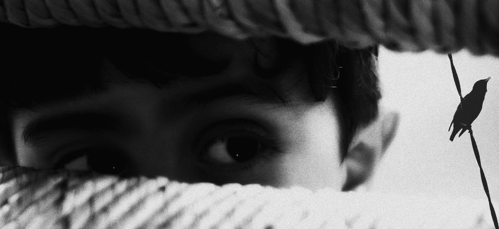 Against the canons of not imagination