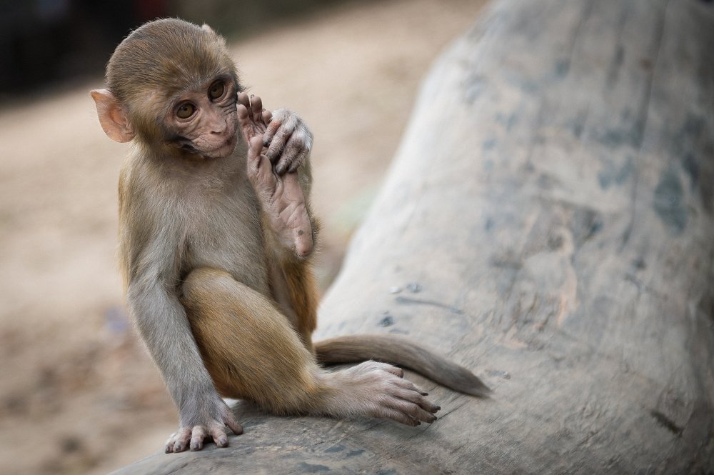 Photograph by Надежда Стецова