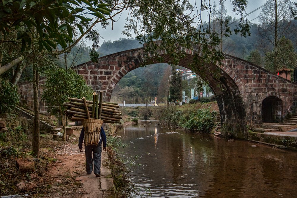 Photograph by ANMDEOS LS TEO