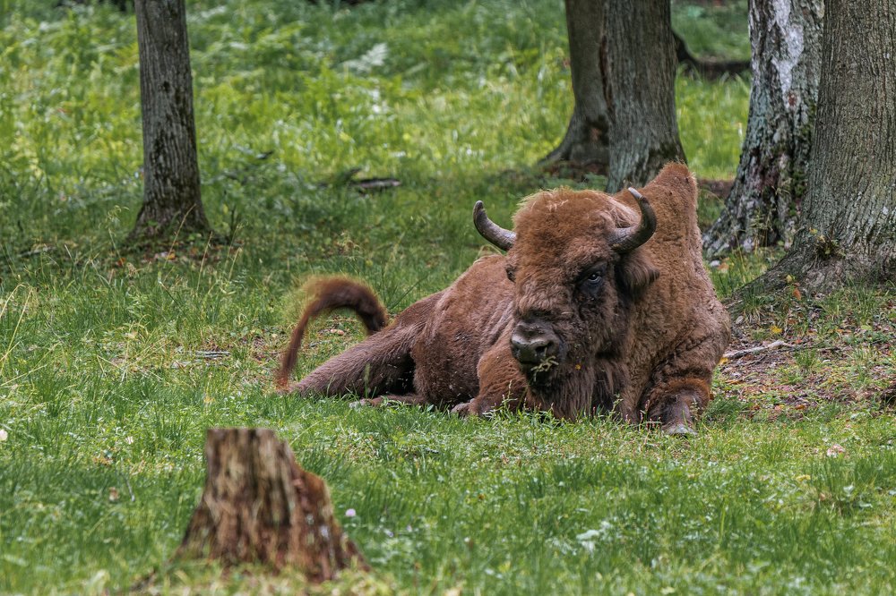 Photograph by Евгений Кучеренко