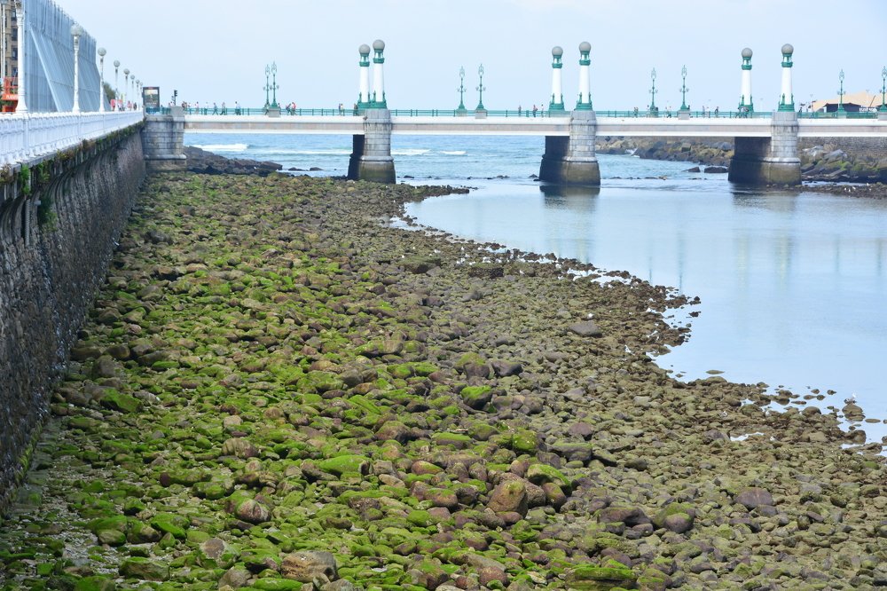 Photograph by maria angelica jaramillo