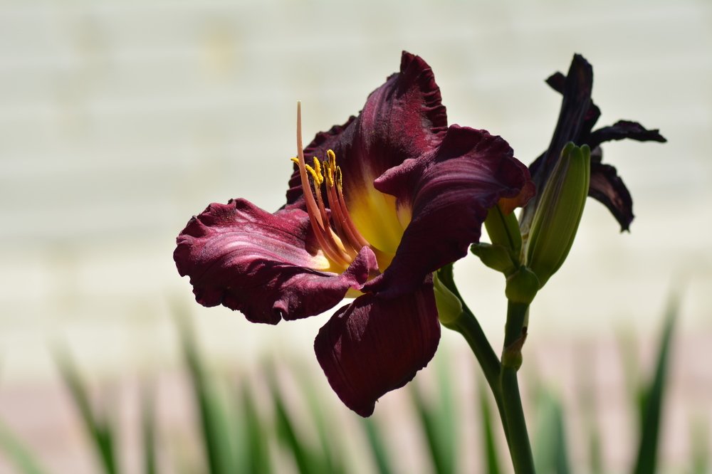 Photograph by Татьяна Кабанец