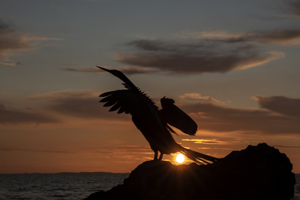 Photograph by Elena Diener