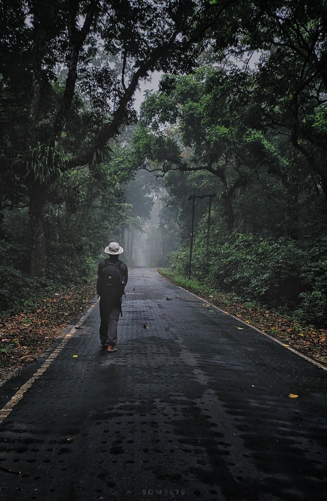 Photograph by somnath bhandari