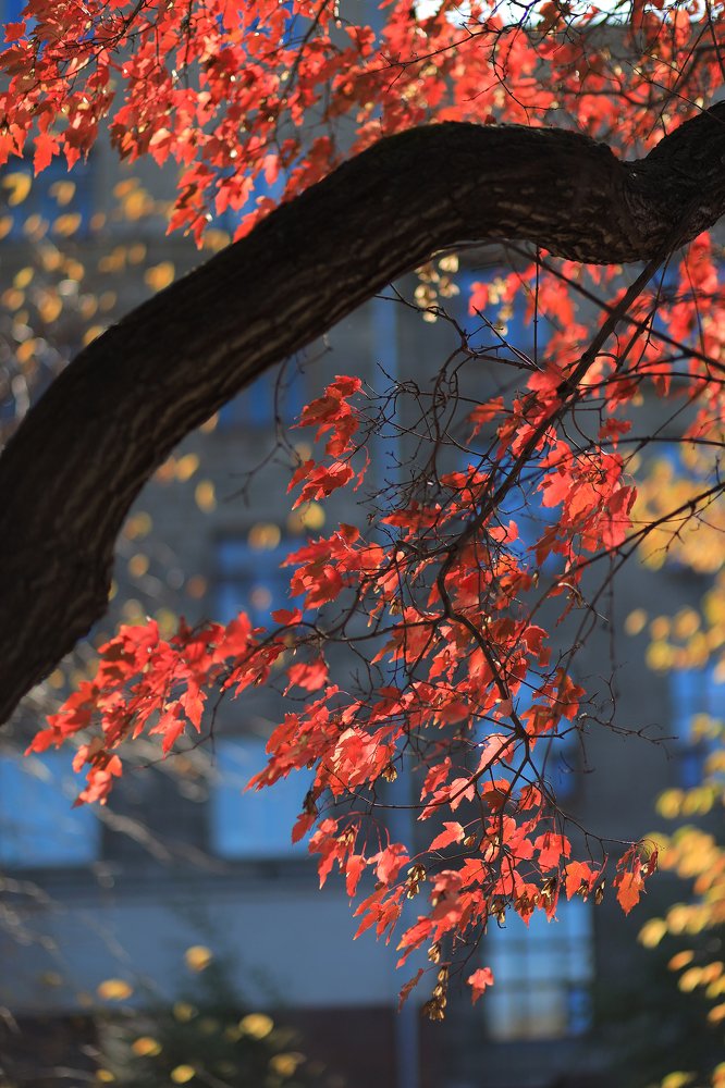 День в сентябре