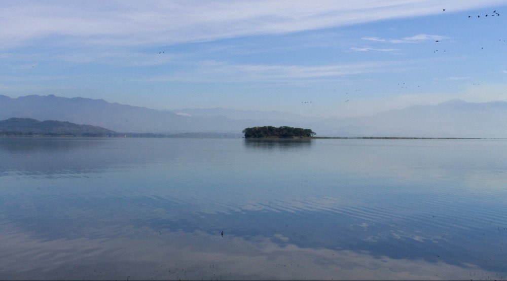 Photograph by Jesus Santamaría