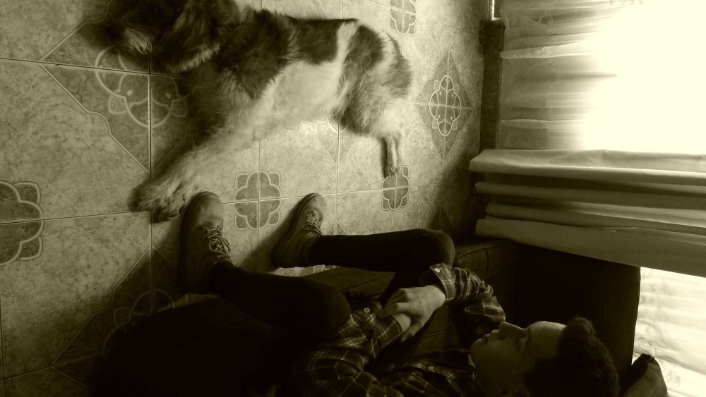 Photo #4373095