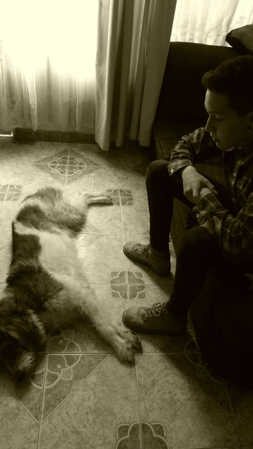 Photo #4373095