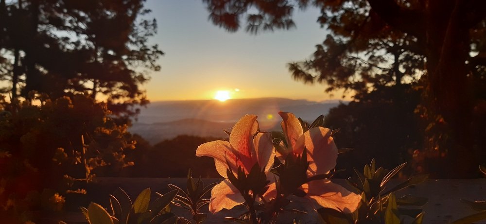 Photo #4373137