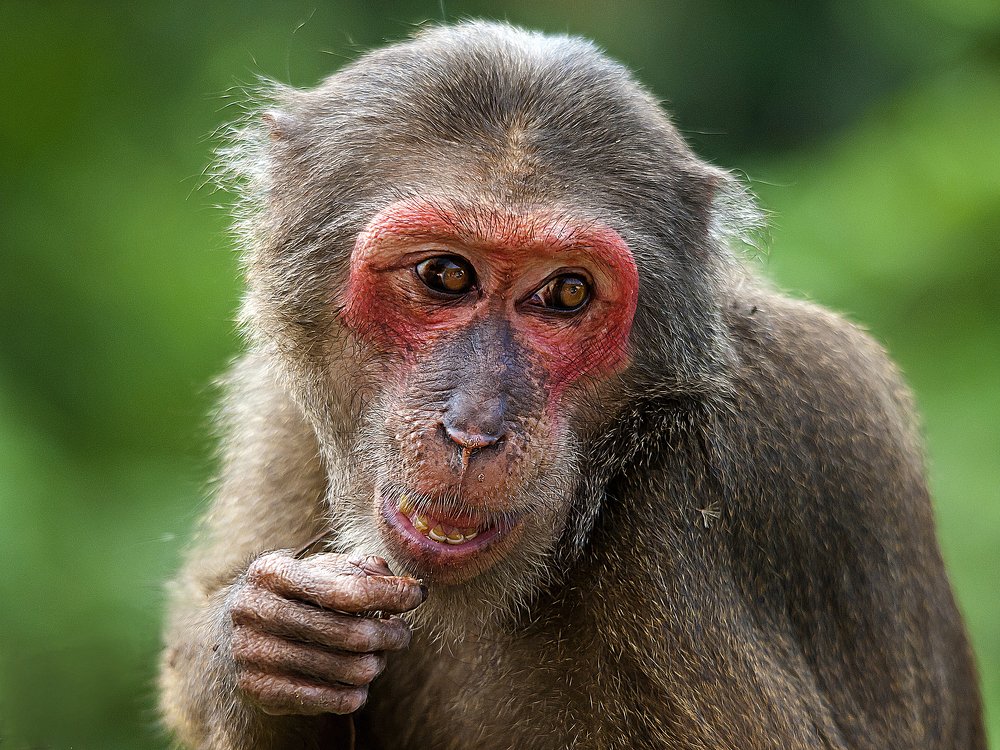 Photograph by Hà Thạnh