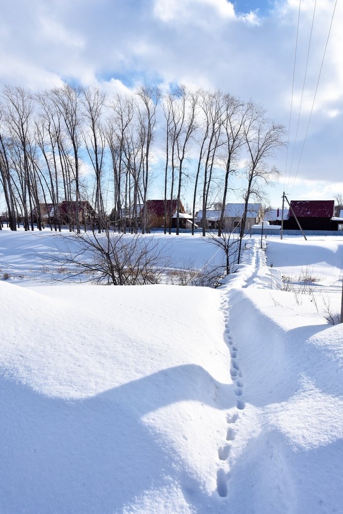 Photograph by Мария Негреева