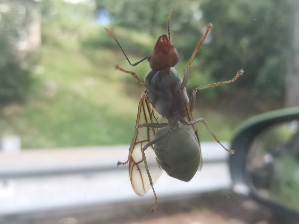 Photograph by Hooi Chuen Keh