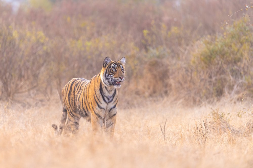 Photograph by Zhayynn James