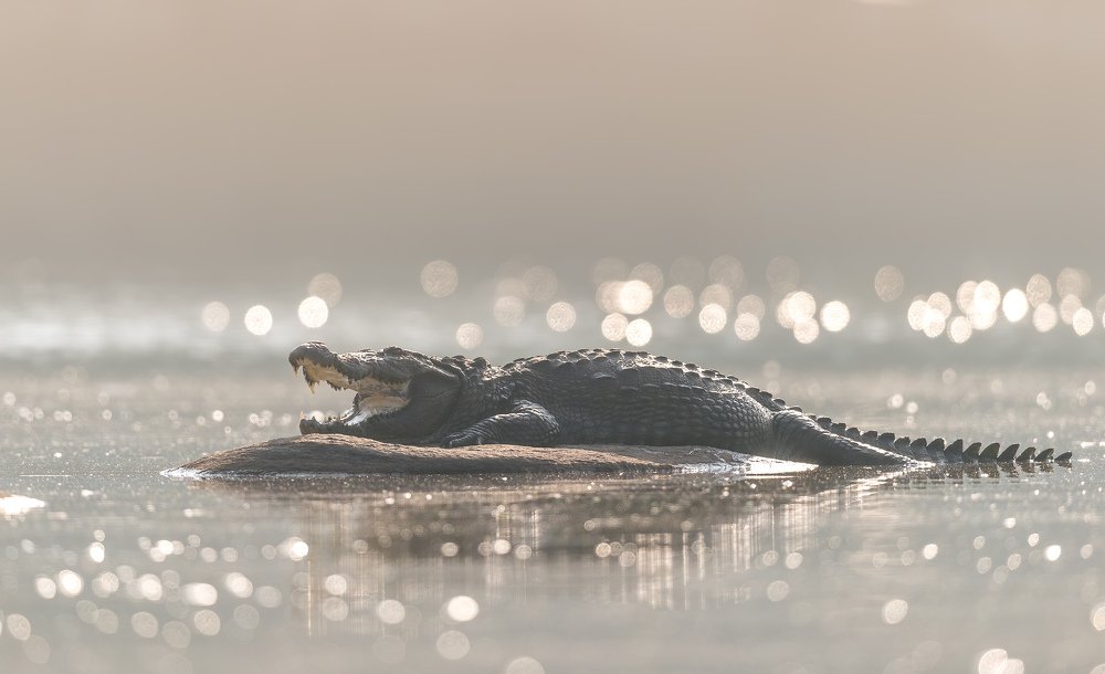 Photograph by Zhayynn James