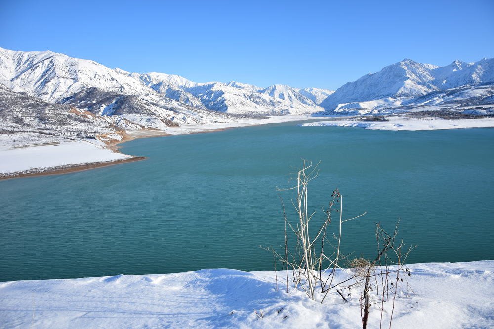 Photograph by Belkova Marina