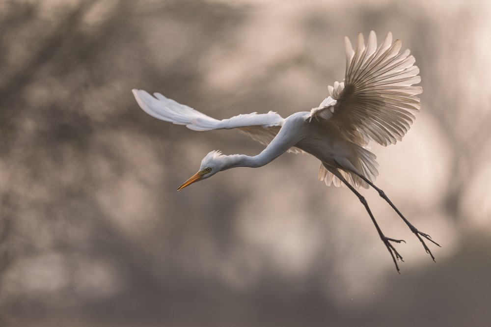 Photograph by Zhayynn James