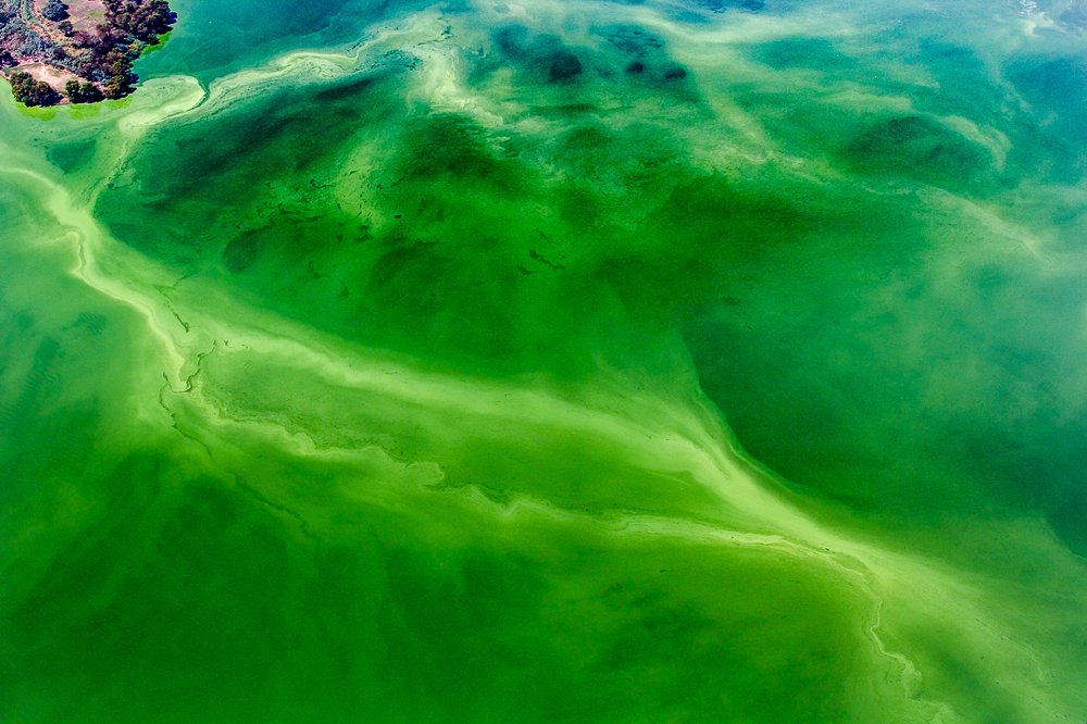 Photograph by Estuardo Estrada Alday