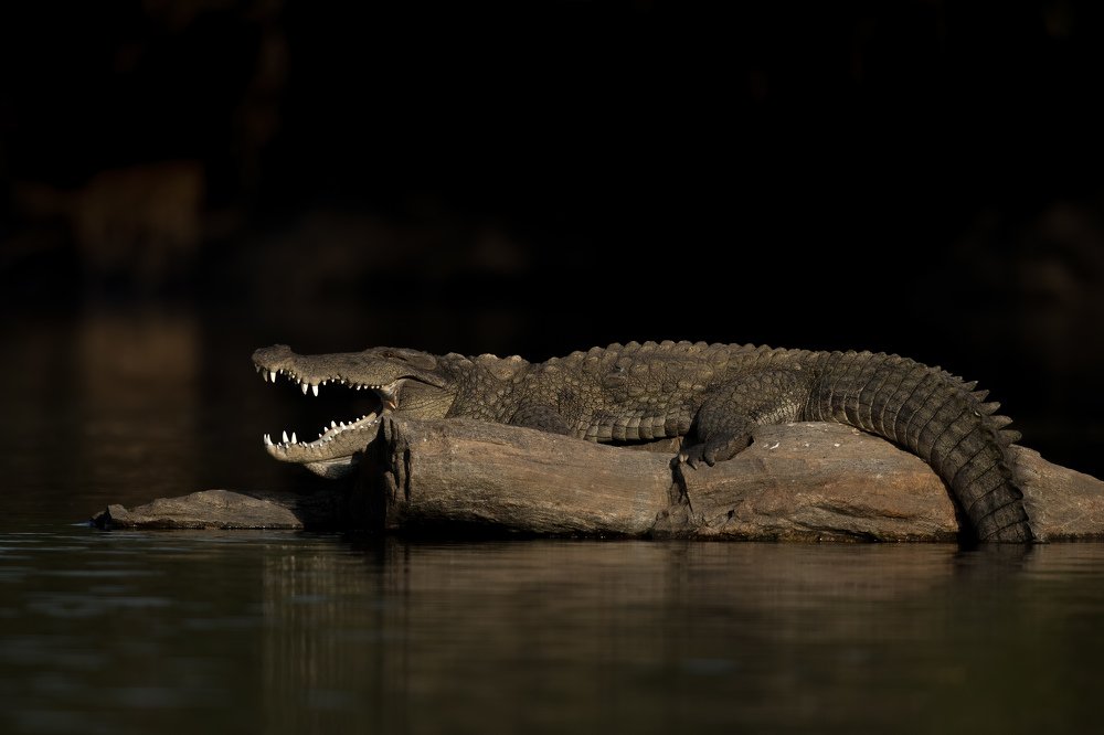 Photograph by Zhayynn James