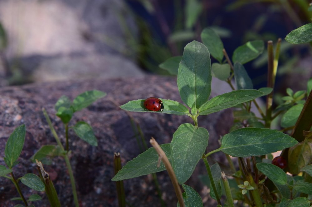 Photograph by Belkova Marina