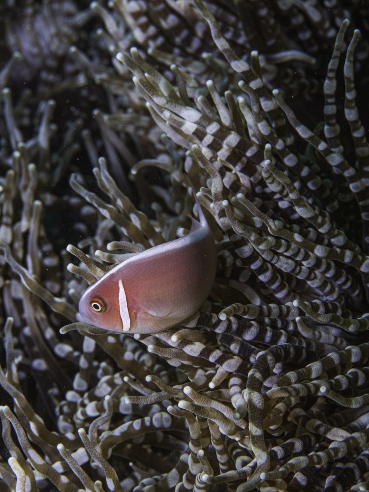 Photograph by Beth Gillette