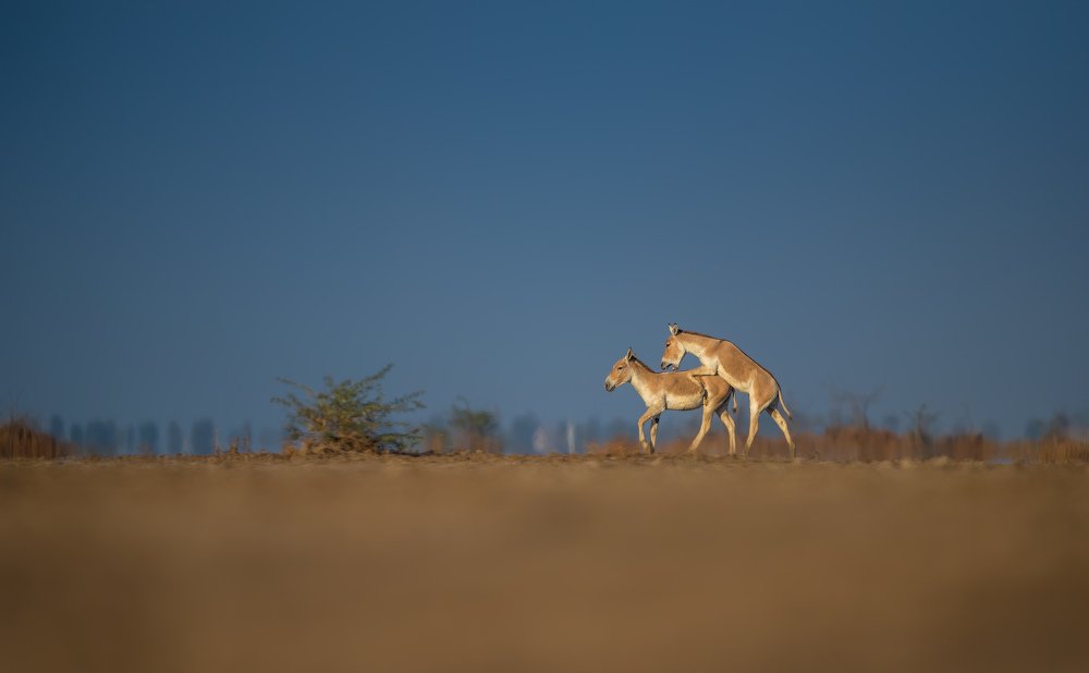 Photograph by Zhayynn James