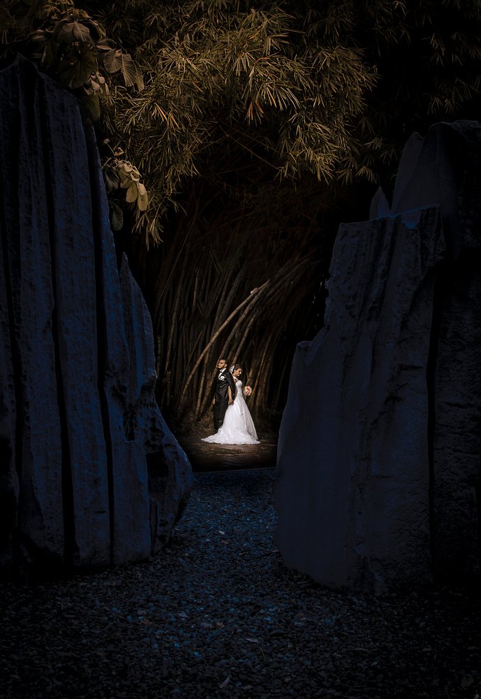 I will love you day and night