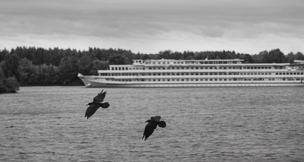 Photograph by Алексей Зеленин