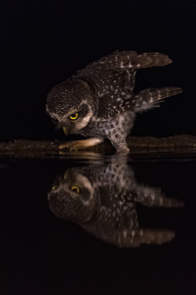 Photograph by Zhayynn James