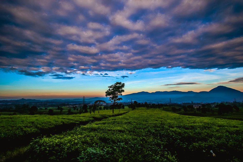 Photograph by Yoes Yusup