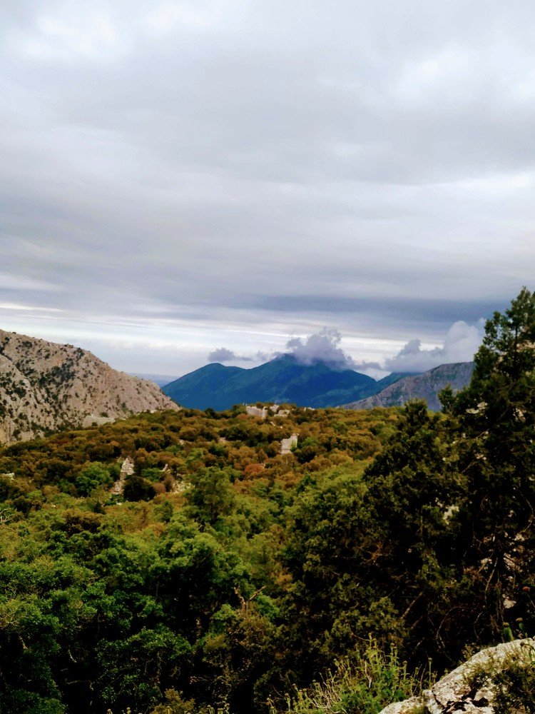Photograph by Кильпио Антонина