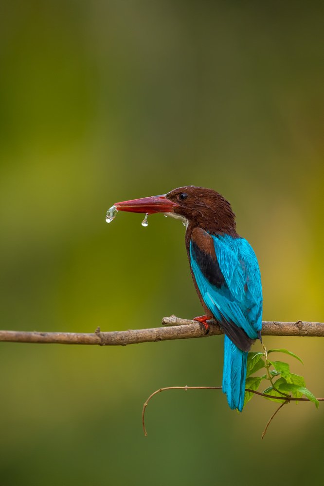 Photograph by Zhayynn James