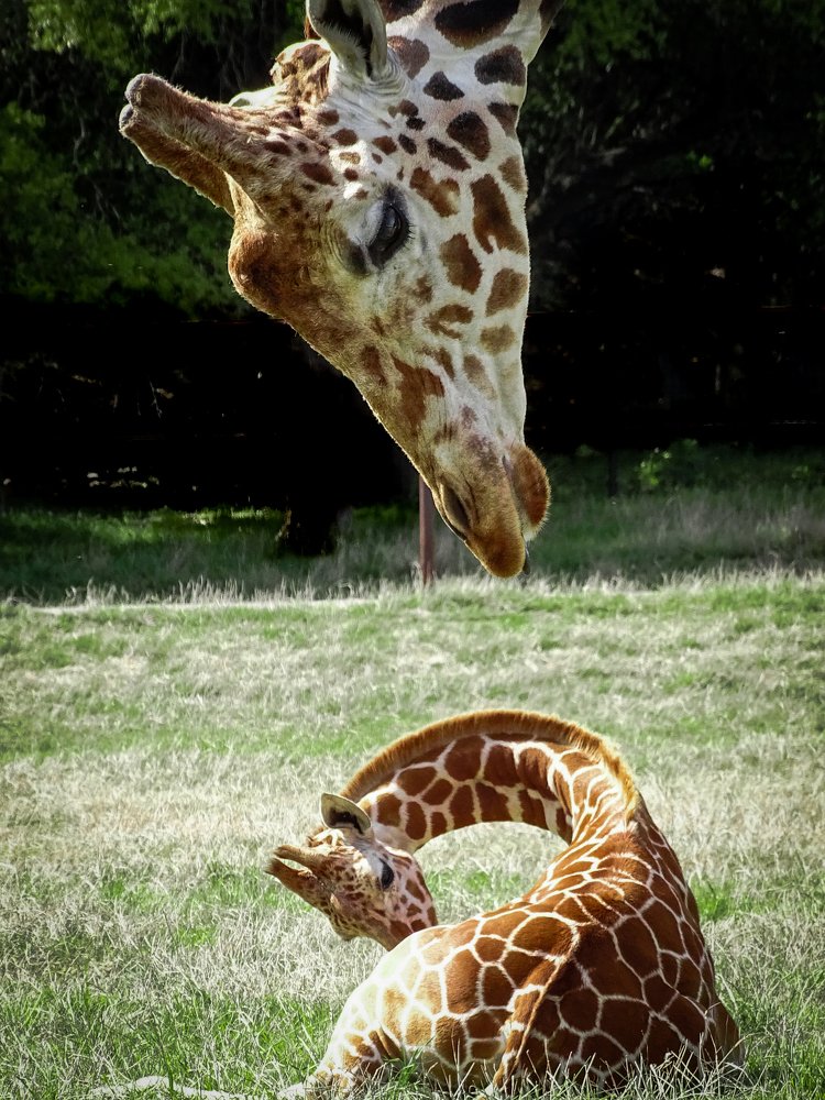 Photograph by Patrycja Sorensen