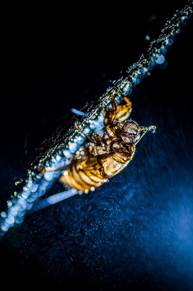 Photograph by Zhayynn James