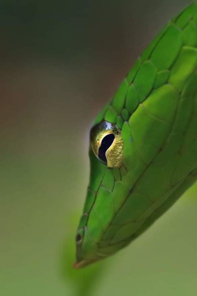 Photograph by bhaskar burman