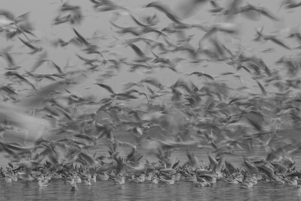 Photograph by Vivek Sharma