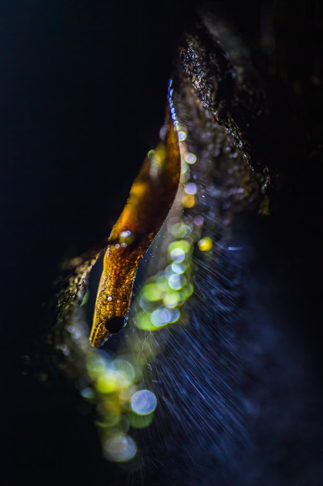 Photograph by Zhayynn James