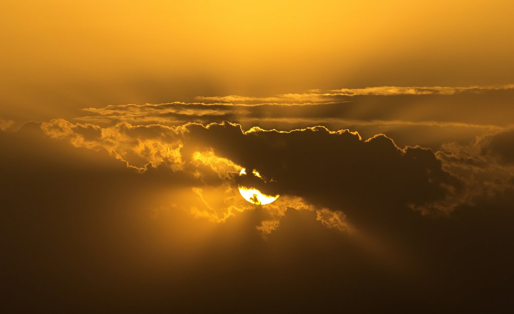 Photograph by Александр Щербаков