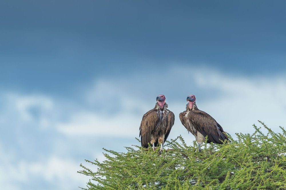 Photograph by Zhayynn James